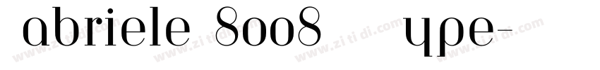 Gabriele 8008   Type字体转换